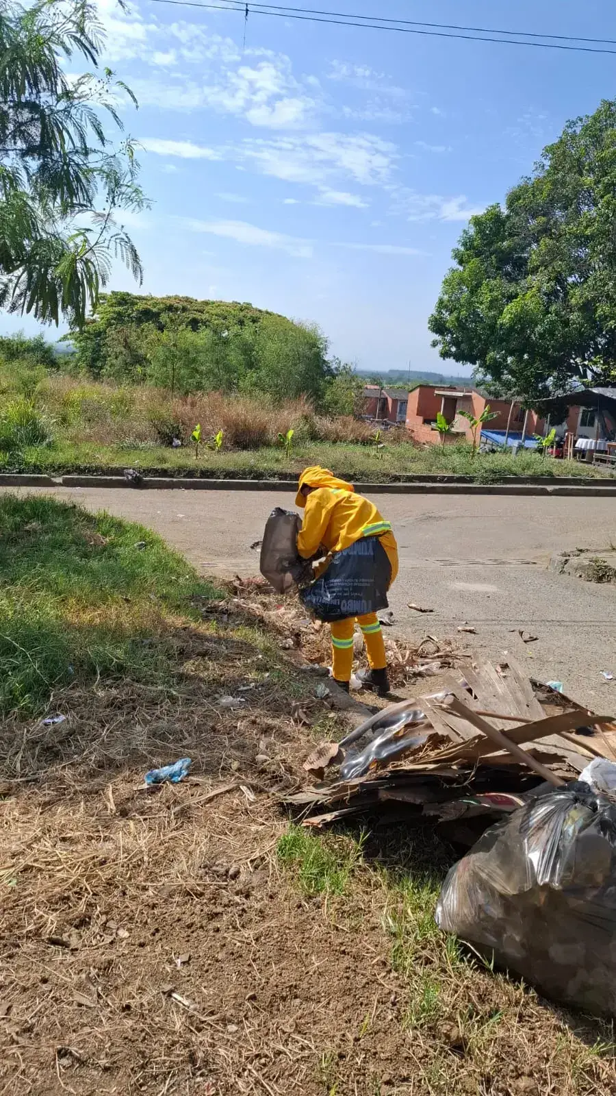 Adecuación del terreno para la siembra