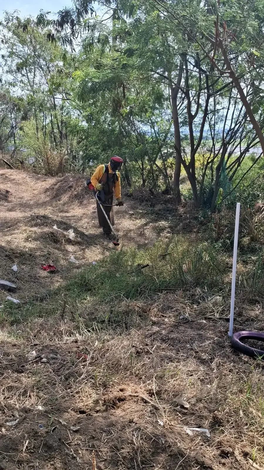 Personal de Servintegrales apoyando la jornada